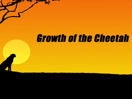 Growth of the Cheetah