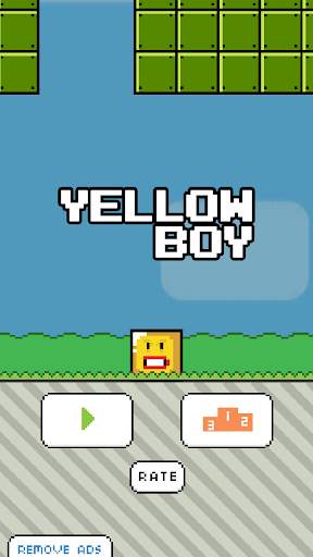 Yellow Boy