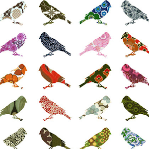 fancy birds.apk 1.0.4