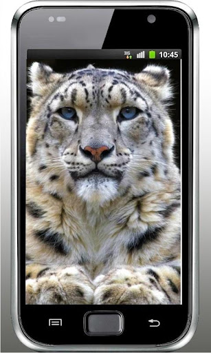 Snow Leopard Bars HD LWP