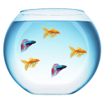 My Fish Bowl Live Aquarium Apk
