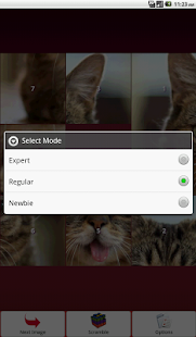 Cats Puzzle Screenshots 8