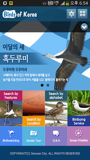 免費下載教育APP|birds of korea app開箱文|APP開箱王