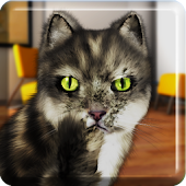 Berbicara Cat Lucu