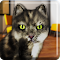 code triche Talking Cat Funny gratuit astuce