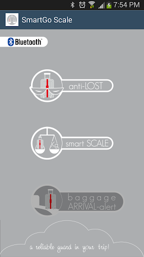 SmartGo Scale