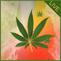 Weed Ganja Live Wallpaper icon