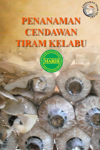 MARDI Cendawan Tiram Kelabu