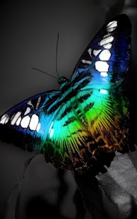Shiny Butterfly Live Wallpaper Screenshots 2