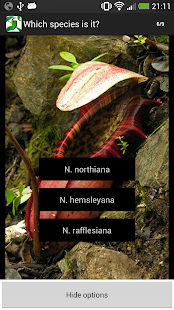 Nepy Screenshots 4
