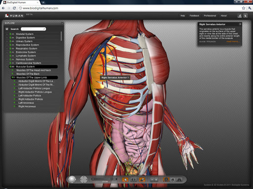 BioDigital Human by BioDigital Team - Experiments with Google