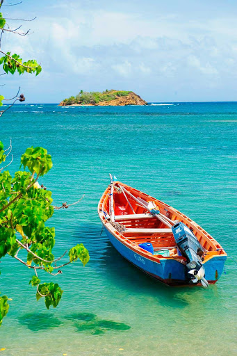 Presquile-de-la-Caravelle-Tartane-Martinique - A fishing boat in Presqu'ile de la Caravelle in the fishing village of Tartane on Martinique. 