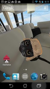 download ChoCho Cat free