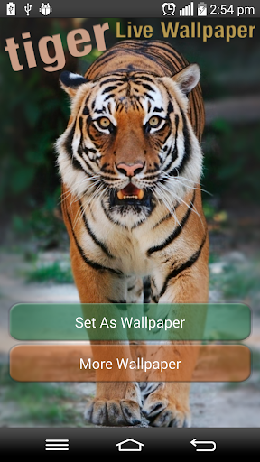 Tiger Live Wallpaper