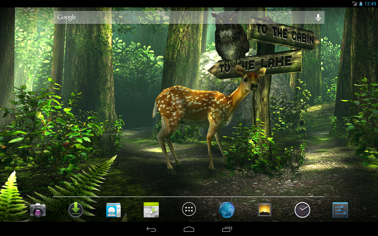 Forest HD - screenshot