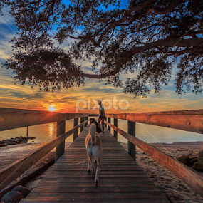 Jenny and the boys by Jason Green - People Street & Candids