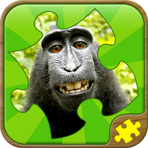 Fun Puzzle Games.apk 1.2