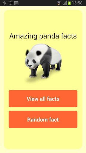 Amazing Panda Facts