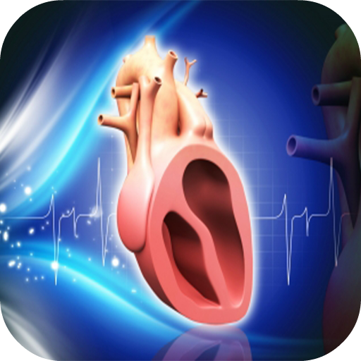 Human Heart Anatomy LOGO-APP點子