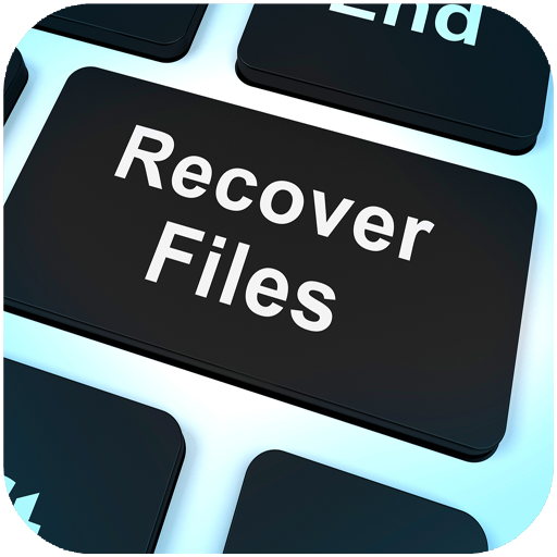 Deleted File Recovery