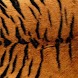 Cool Pattern Backgrounds