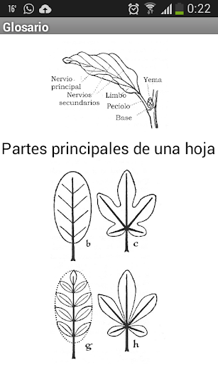 Guía de Arboles Plus