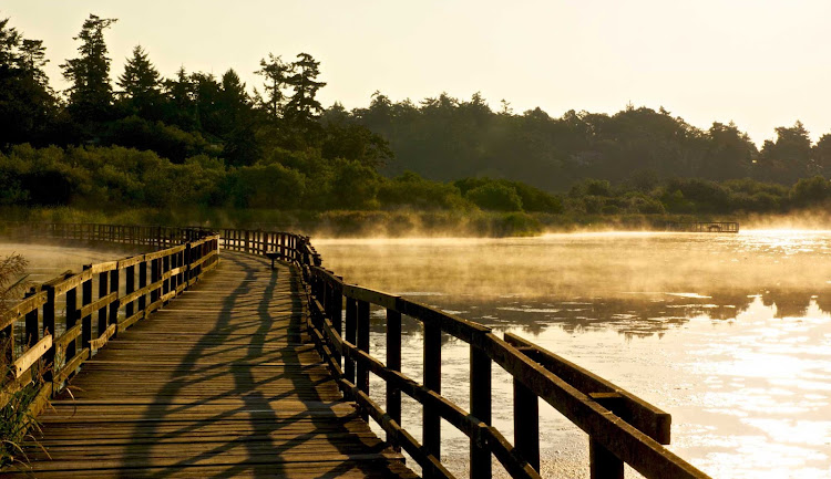 Morning at Swan Lake near Victoria, British Columbia.