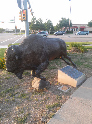 American Bison Sculpture