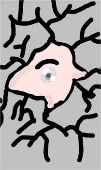 crack in the wal