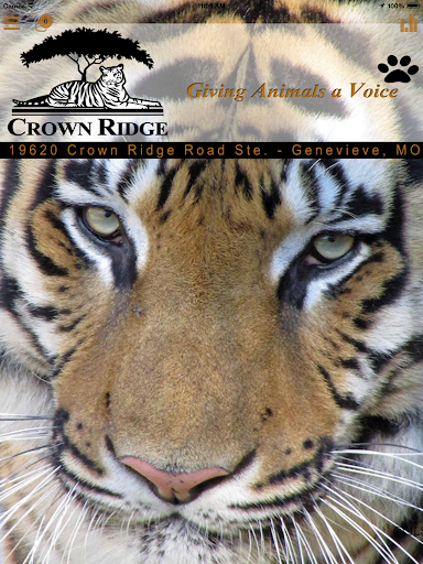 【免費教育App】Crown Ridge Tiger Sanctuary-APP點子