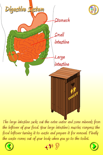 Fun science: The human body