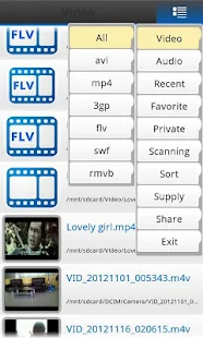 Free FLV MP3 Media Player
