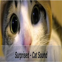 Talk Cat Translator APK Covergestaltung