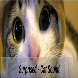 Talk Cat Translator 2.0