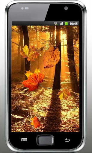 Autumn Sunrise live wallpaper