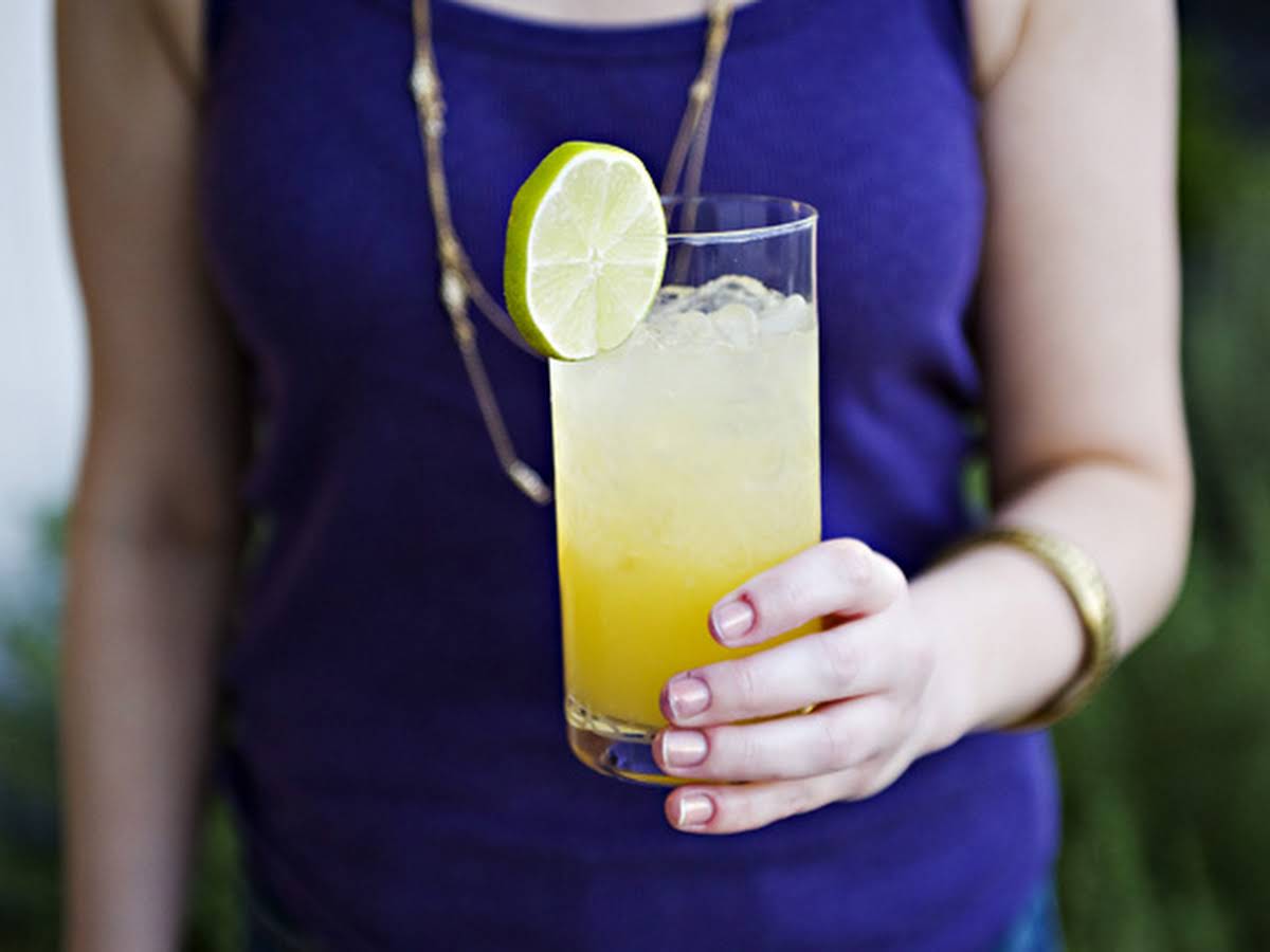 Vodka Sour Mix Recipe Besto Blog