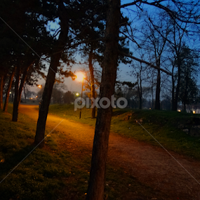 Tvrđava by Marija Mitrović - City,  Street & Park Night