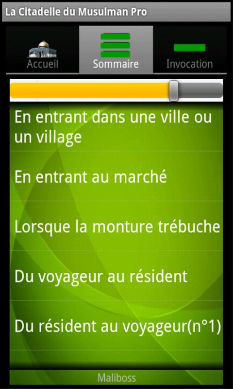 La citadelle du musulman Pro Screen 2