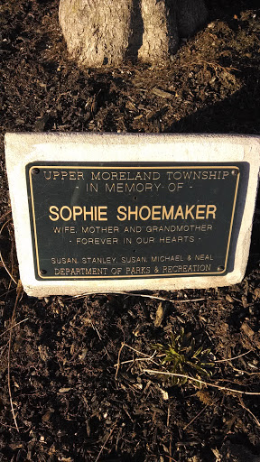 Sophie Shoemaker Memorial Tree