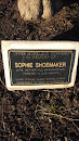 Sophie Shoemaker Memorial Tree