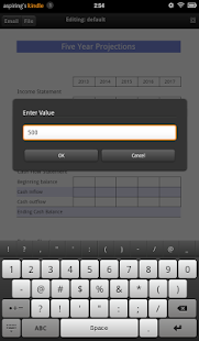 5 year Cash Flow Projection Screenshots 4