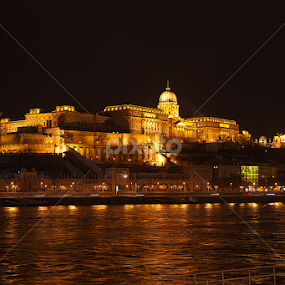 Budim by Darko Kireta - Buildings & Architecture Public & Historical