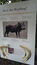 Meet The Warthog Information Placard