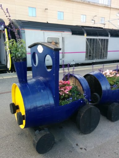 Train Flowers, Inverness