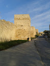 Historical Wall
