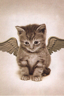 How to download Cats Wallpapers 1.0 unlimited apk for bluestacks