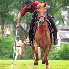 by Jignesh Chauhan - Sports & Fitness Other Sports