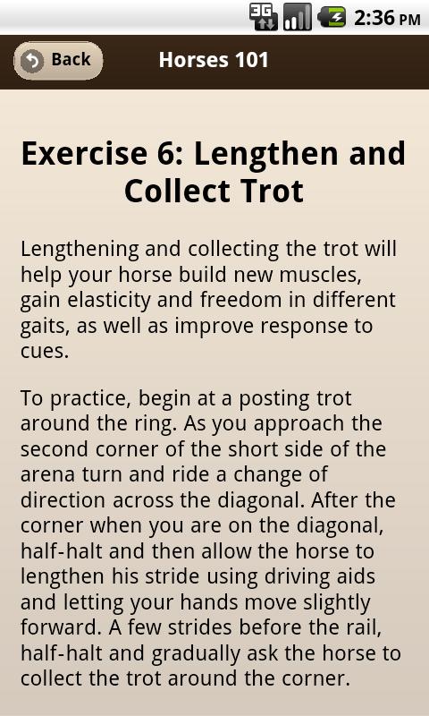 Horses 101 Training Exercises Screen 2