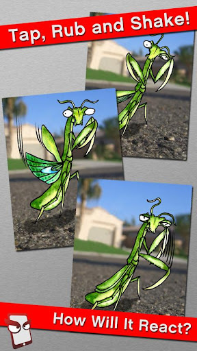 Angry Mantis Free