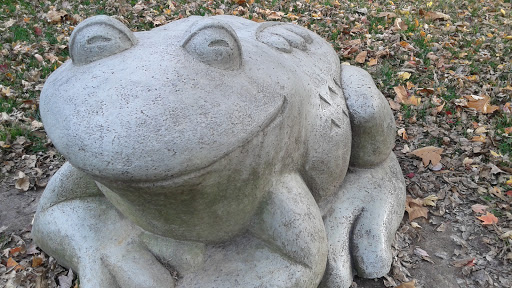 Mr. Toad of Vago Park 